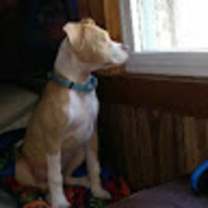 Meet your Posher, Karic